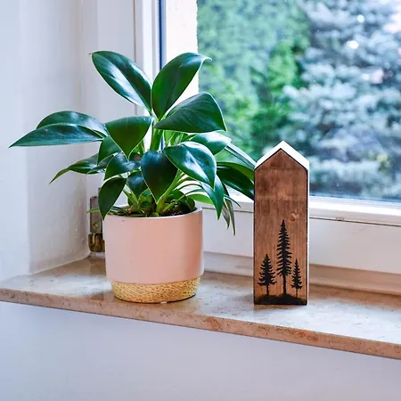 Appartamento Zentrale Mit Sternenblick Und Infrarot-sauna *