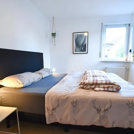 Appartamento Zentrale Mit Sternenblick Und Infrarot-sauna Haslach im Kinzigtal