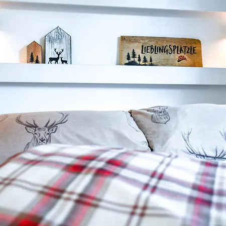 Zentrale Mit Sternenblick Und Infrarot-sauna Haslach im Kinzigtal