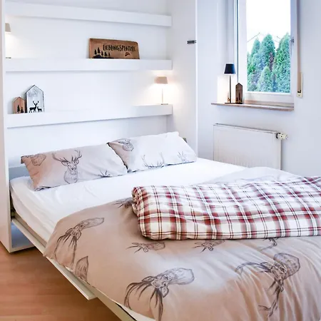 Appartamento Zentrale Mit Sternenblick Und Infrarot-sauna Haslach im Kinzigtal